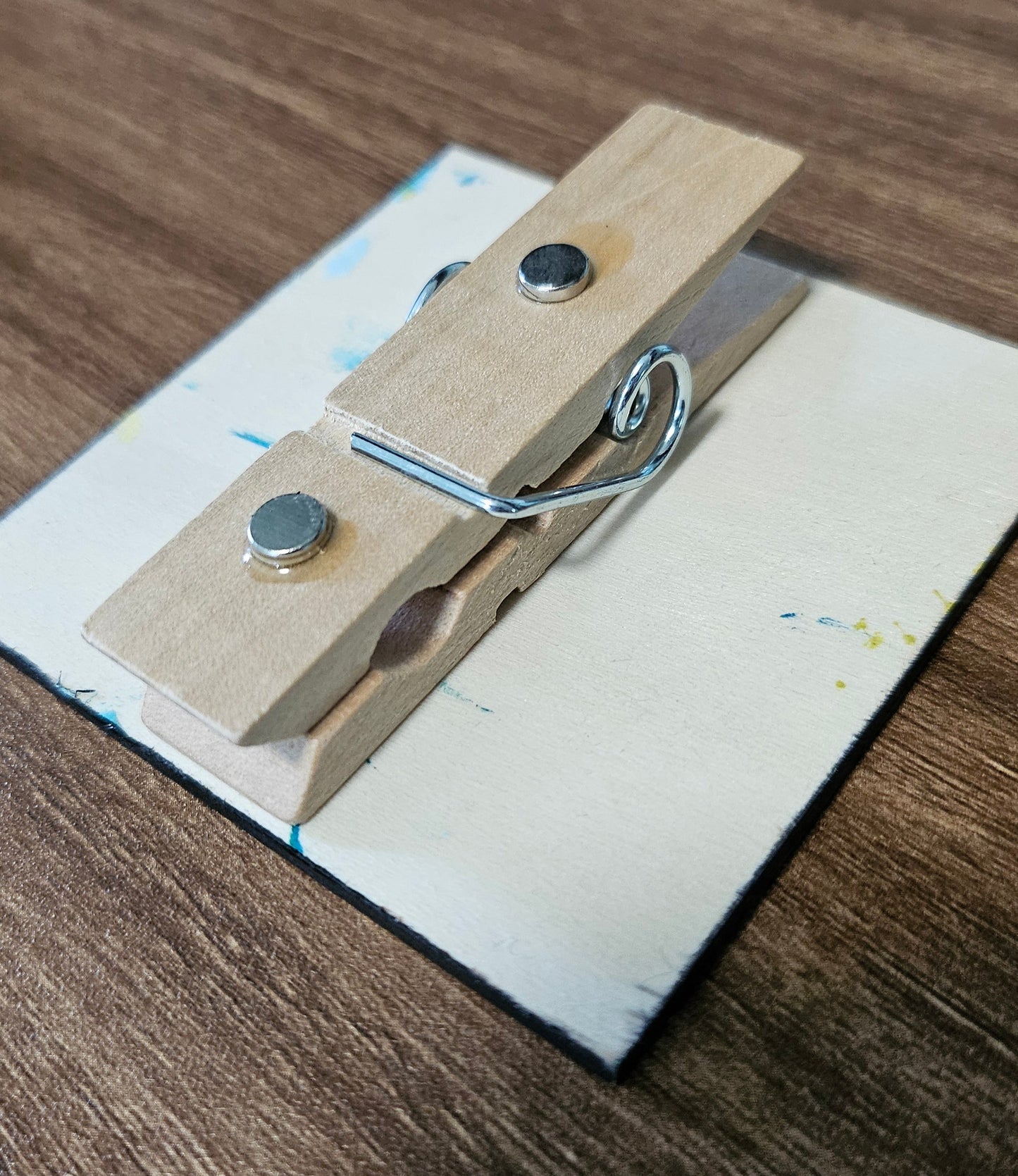 Hand-Painted Wooden Clip Magnets