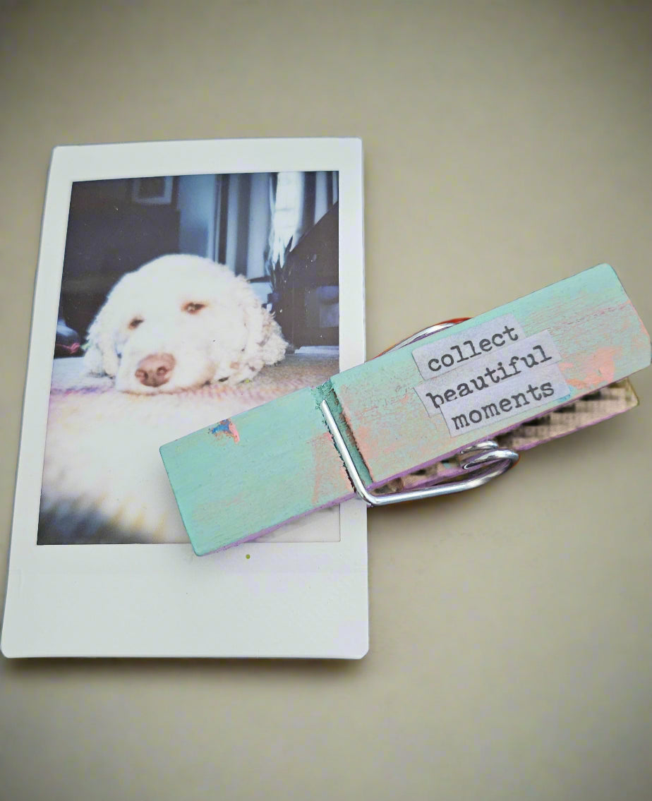 Hand-Painted Wooden Clip Magnets