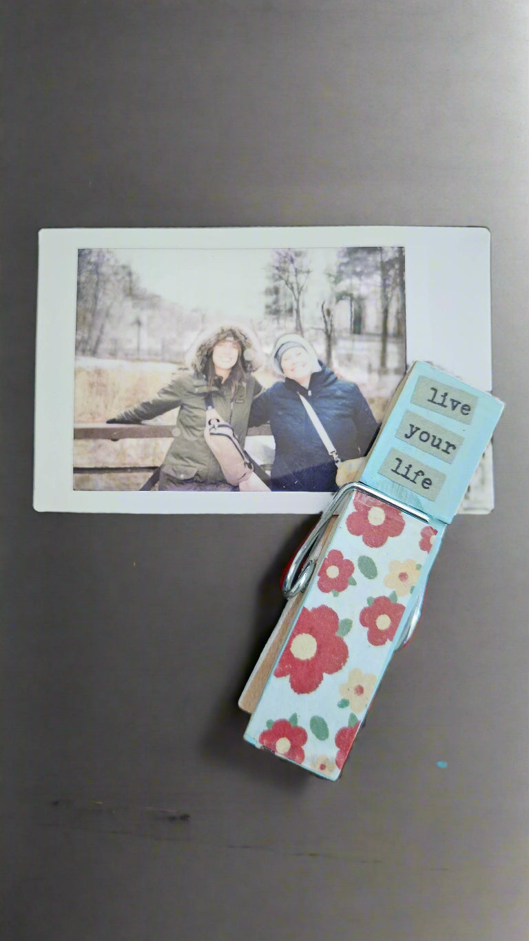 Hand-Painted Wooden Clip Magnets