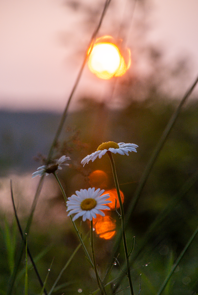 Original Photography Prints