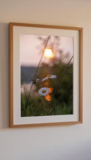 Original Photography Prints